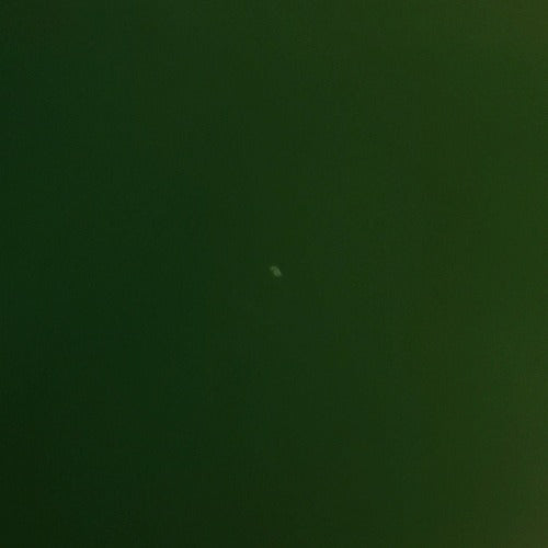 Forest Green 651 Grade Vinyl - WeSplurge.com