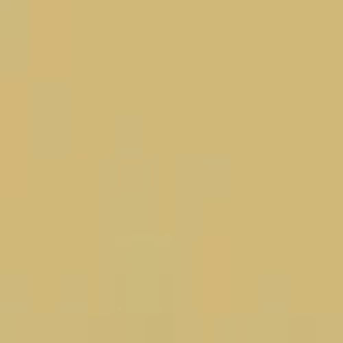 Vegas Gold HTV - WeSplurge.com