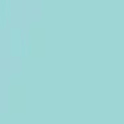 Sea Foam Green Thermoflex HTV - WeSplurge.com