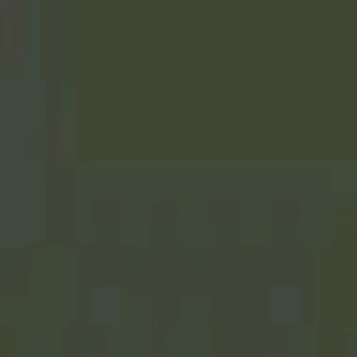 Olive Drab Thermoflex HTV - WeSplurge.com
