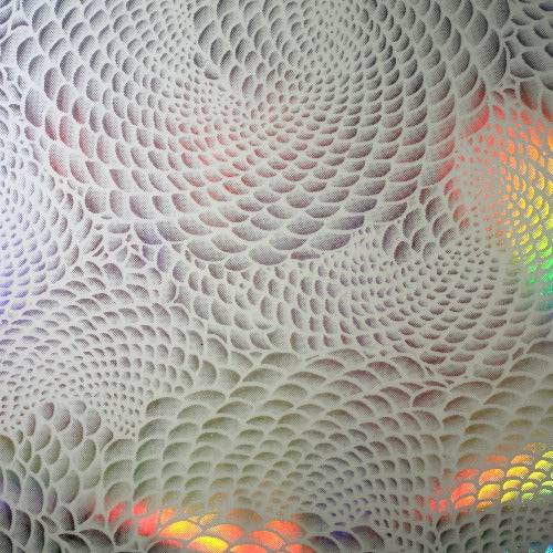 Falkor White Holo - WeSplurge.com