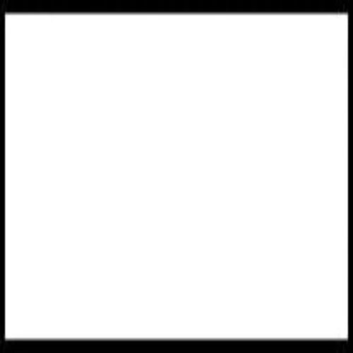 White Flock HTV - WeSplurge.com