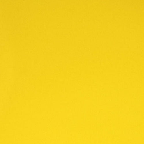 Lemon Yellow 651 Vinyl - WeSplurge.com