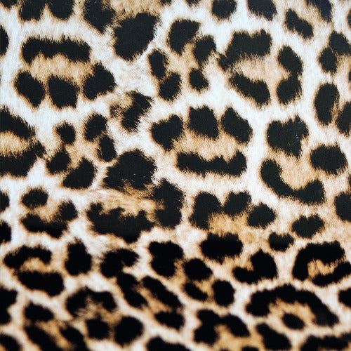 Brown Cheetah IntegriPro® HTV Pattern