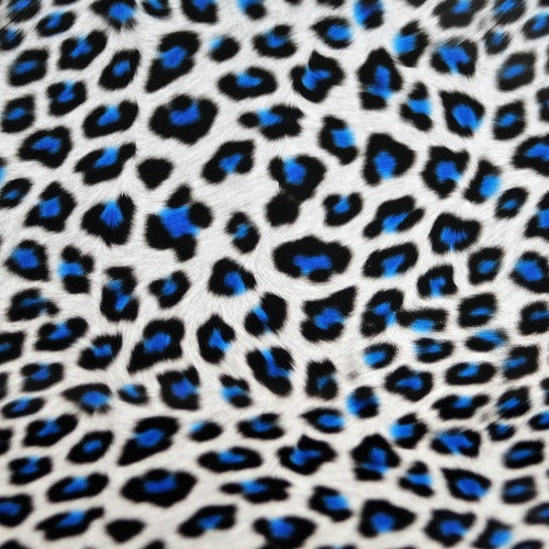 Blue Leopard HTV - WeSplurge.com