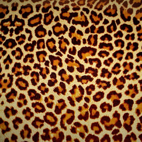 Leopard Fashion Pattern HTV 10"x12"