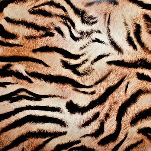 Tiger Fashion Pattern 10"x12"