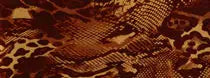 DecoFilm Metallic HTV Snakeskin - WeSplurge.com